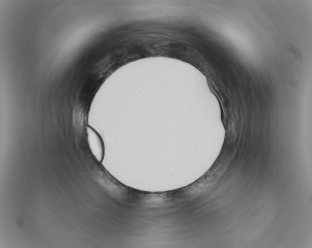 X0000110970574200907310931