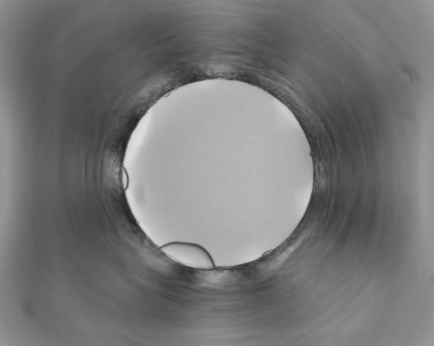 X0000110970575200907310931