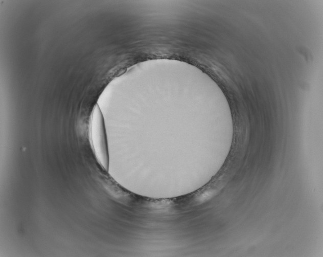 X0000110970576200907310932