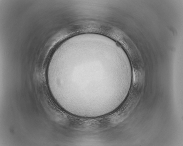 X0000110970579200907310931