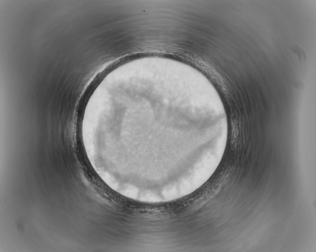 X0000110970580200907310931