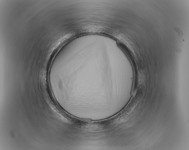 X0000110970581200907310931