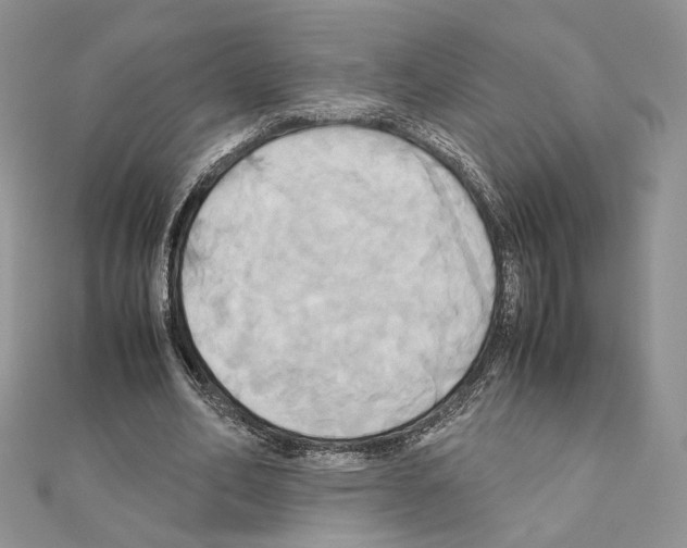 X0000110970582200907310931