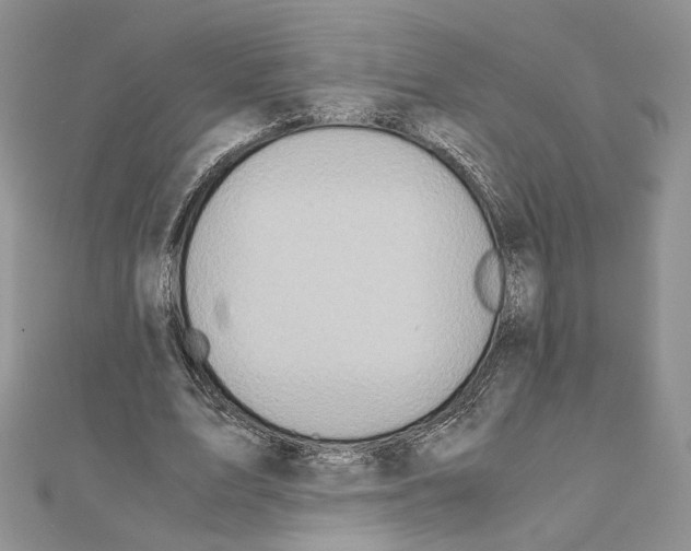 X0000110970583200907310931