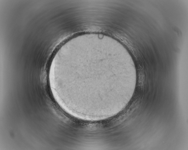 X0000110970584200907310931
