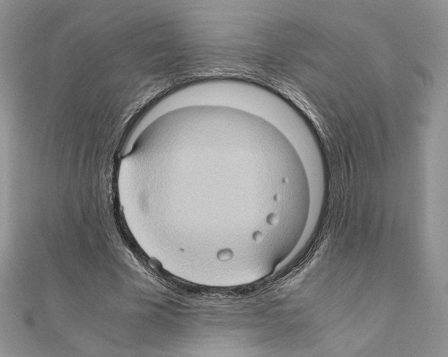 X0000110970585200907310931