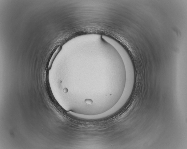X0000110970589200907310931