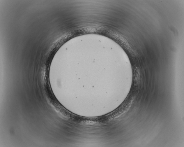 X0000110970590200907310931