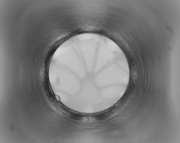 X0000110970591200907310931