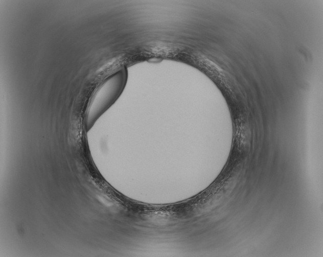 X0000110970593200907310931