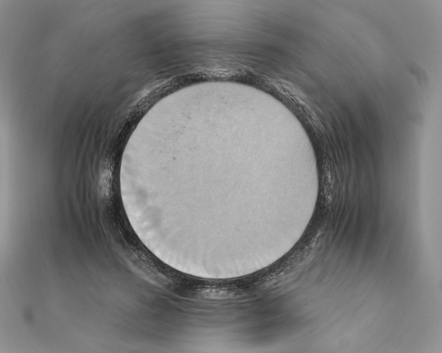 X0000110970596200907310931