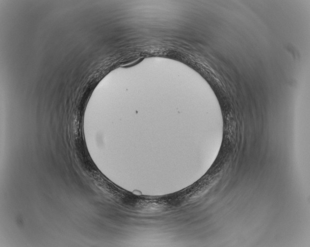 X0000110970597200907310931
