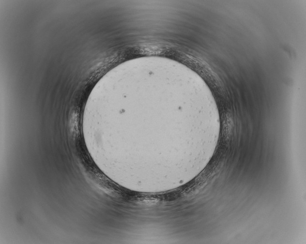 X0000110970598200907310931