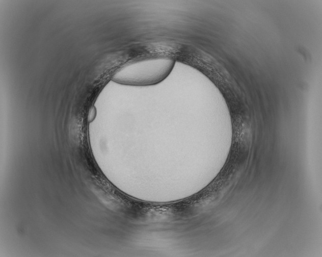 X0000110970599200907310931