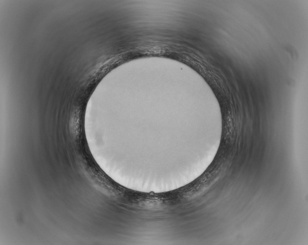 X0000110970600200907310931