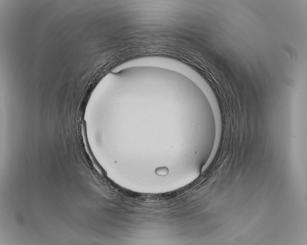 X0000110970601200907310931