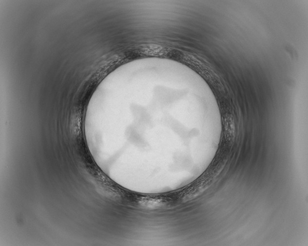 X0000110970602200907310931