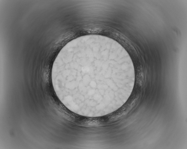 X0000110970604200907310931