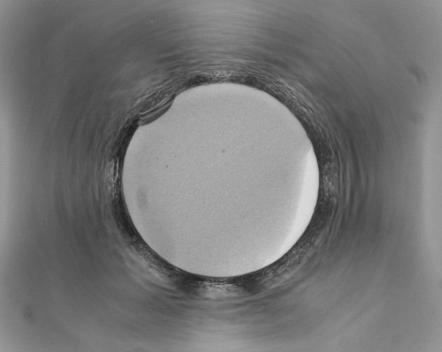 X0000110970605200907310931