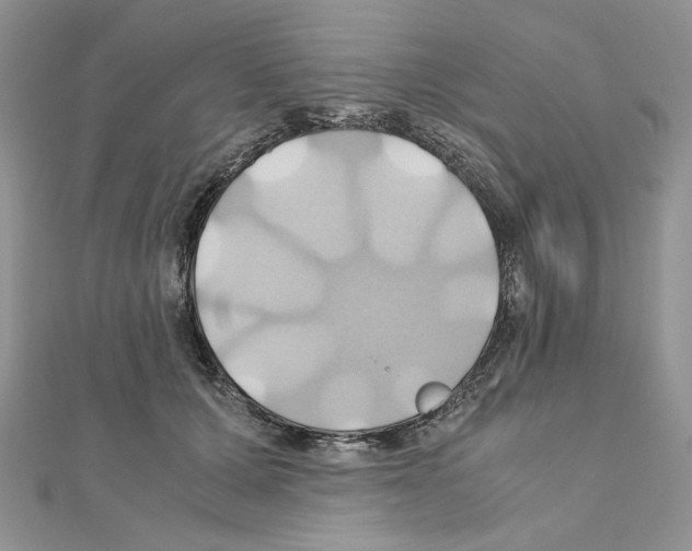 X0000110970607200907310931