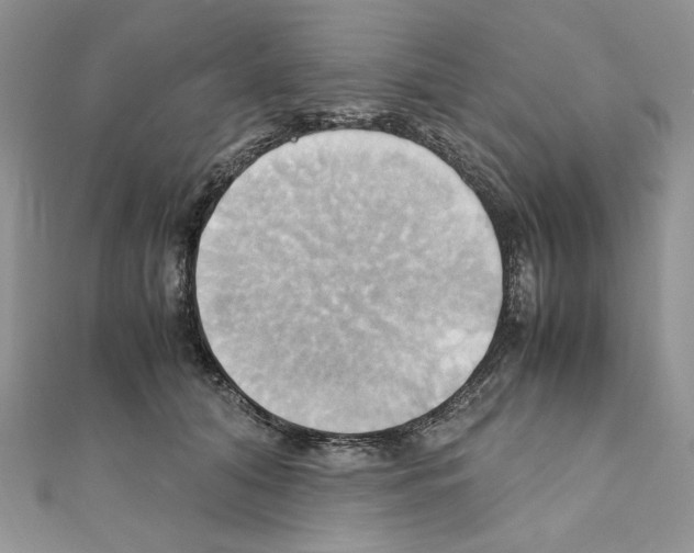 X0000110970608200907310930