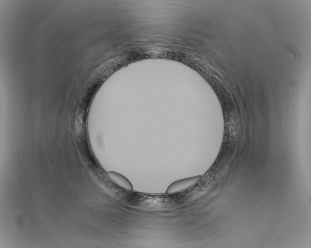 X0000110970611200907310930
