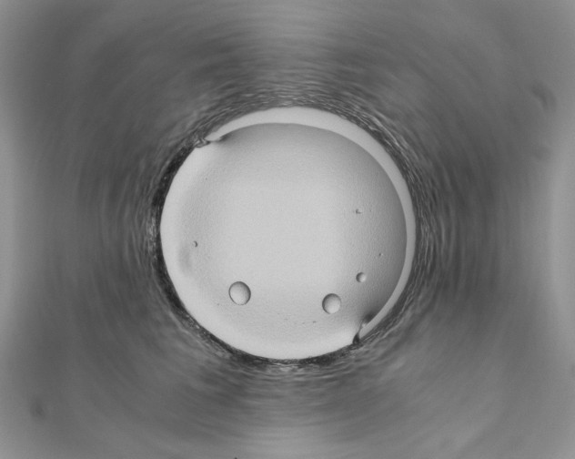 X0000110970613200907310930