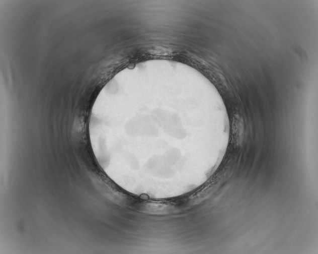 X0000110970614200907310930