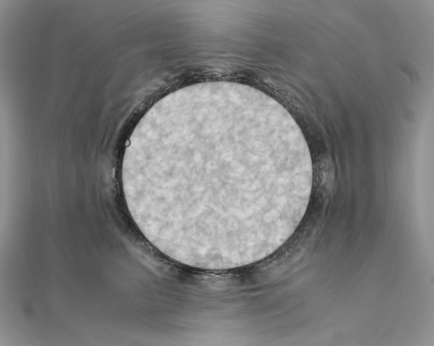 X0000110970615200907310930