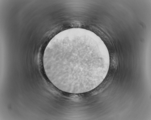 X0000110970616200907310930
