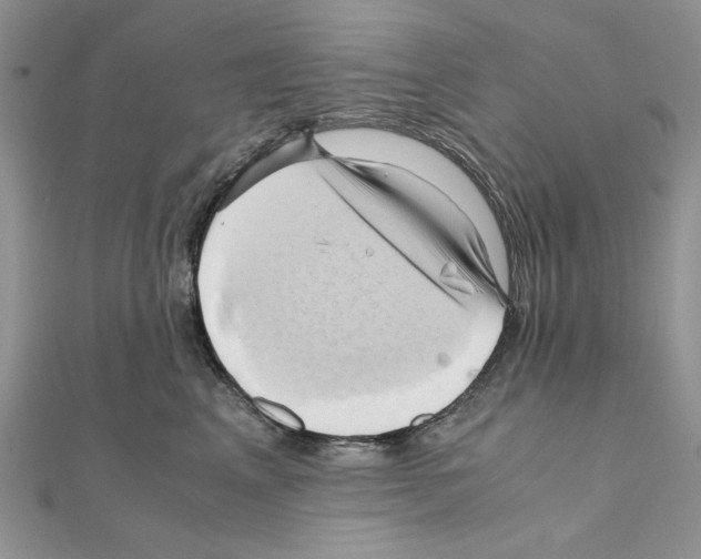 X0000110970617200907310930