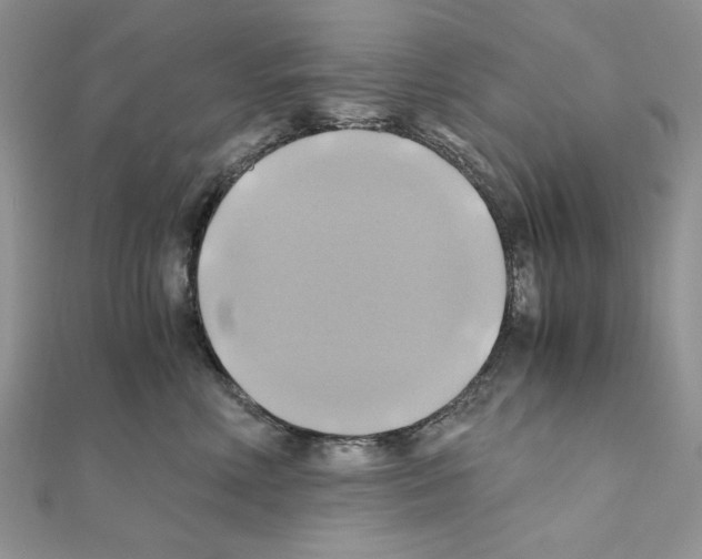X0000110970618200907310930