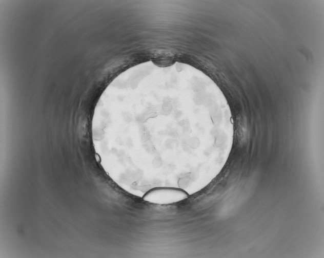 X0000110970619200907310930