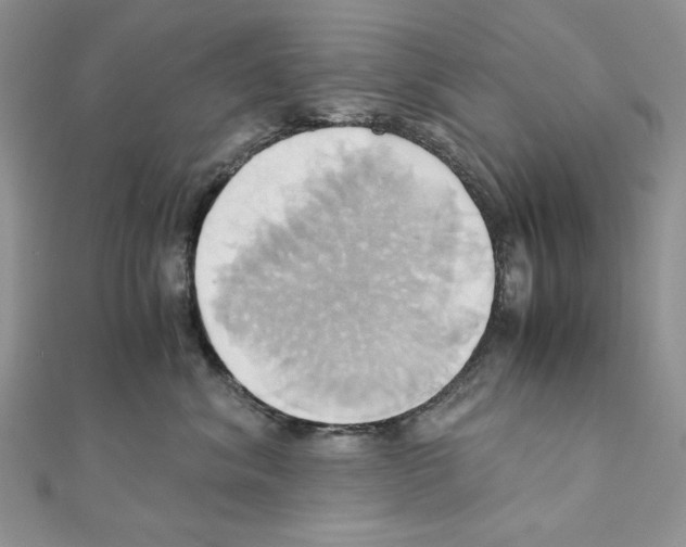 X0000110970620200907310930