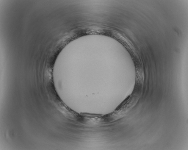 X0000110970621200907310930