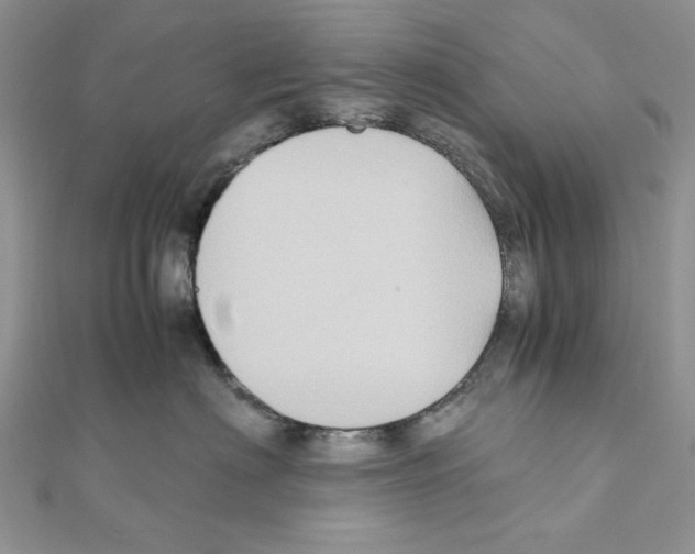 X0000110970622200907310930