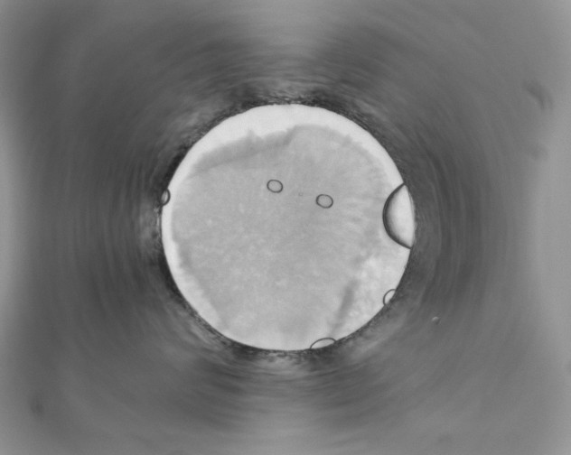 X0000110970624200907310930