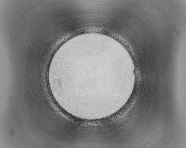 X0000110970625200907310930