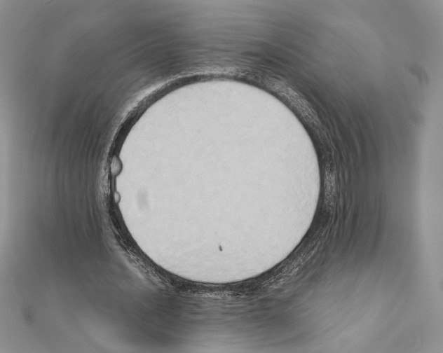 X0000110970628200907310930