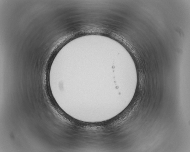 X0000110970629200907310930