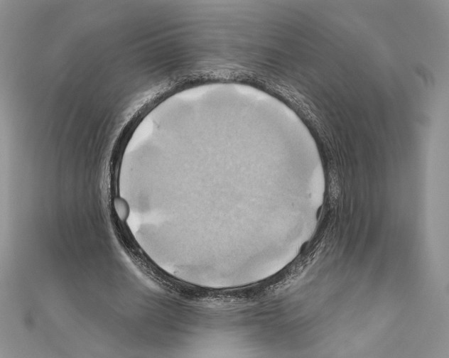 X0000110970630200907310930