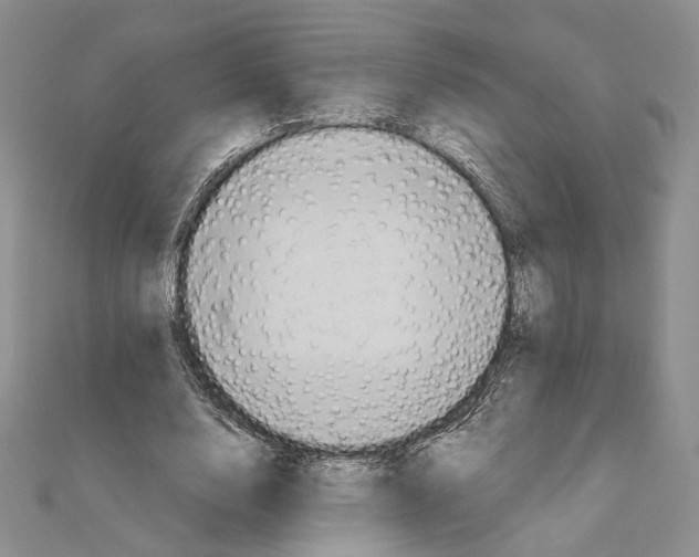 X0000110970632200907310930