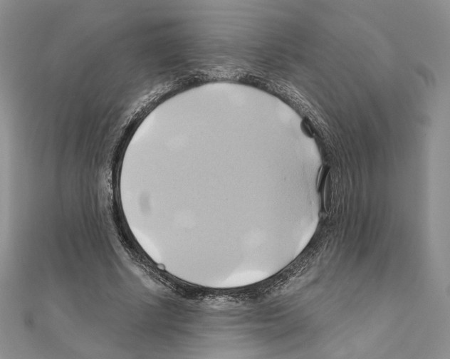 X0000110970634200907310930