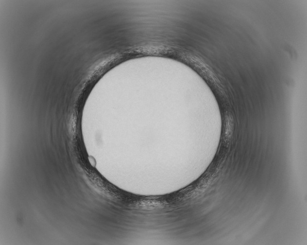 X0000110970636200907310930