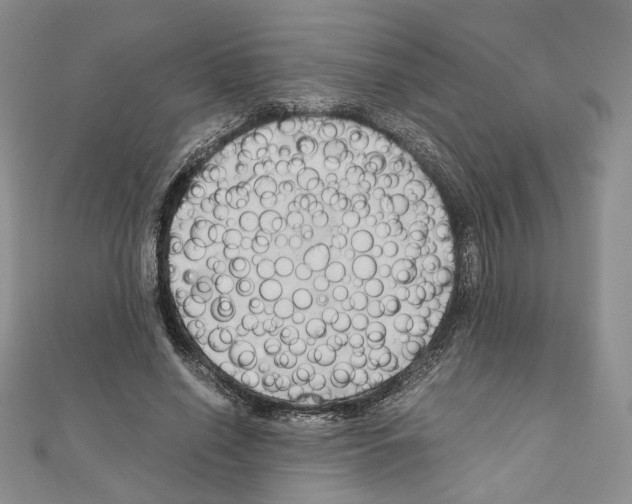 X0000110970638200907310930