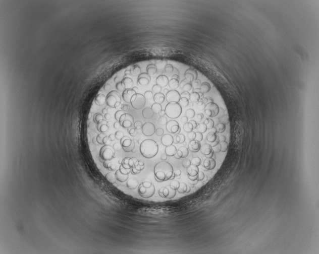 X0000110970639200907310930