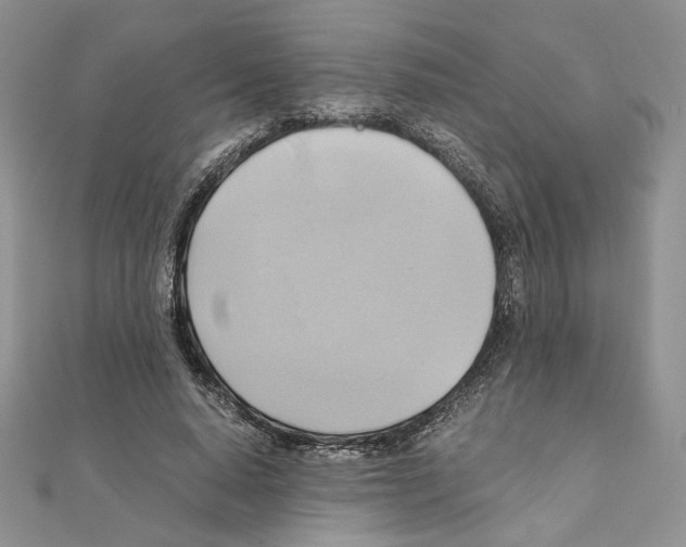 X0000110970640200907310930