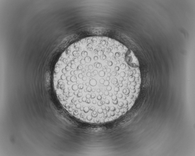 X0000110970646200907310930