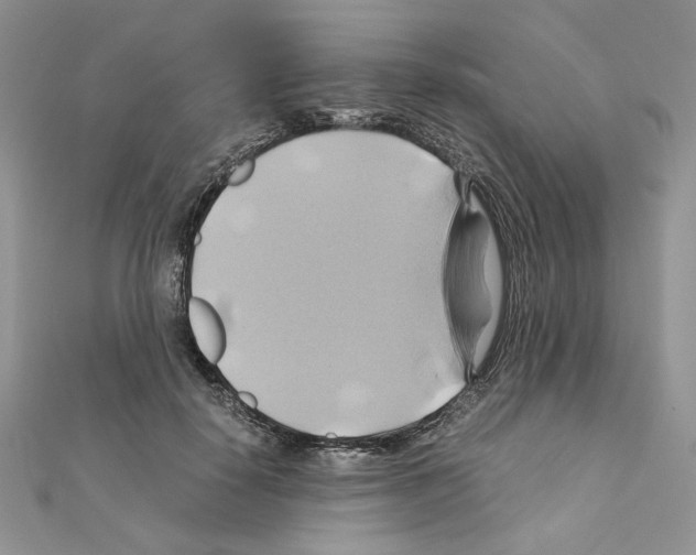 X0000110970650200907310930