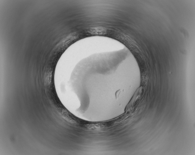 X0000110970652200907310930